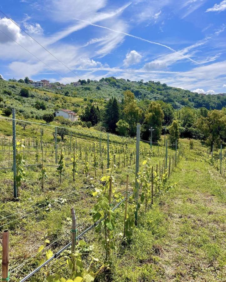 Donna Vittori - Borgo Agricolo Aparthotel Paliano Ngoại thất bức ảnh