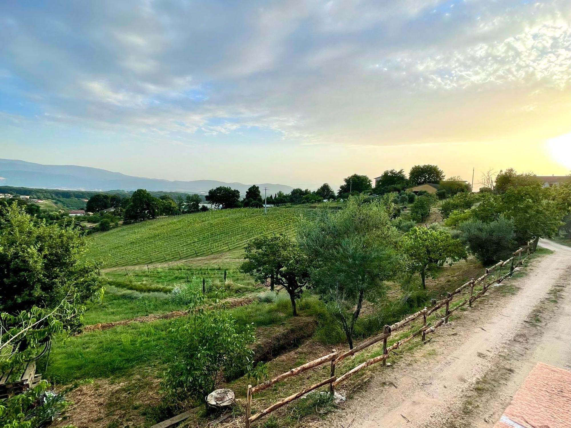 Donna Vittori - Borgo Agricolo Aparthotel Paliano Ngoại thất bức ảnh